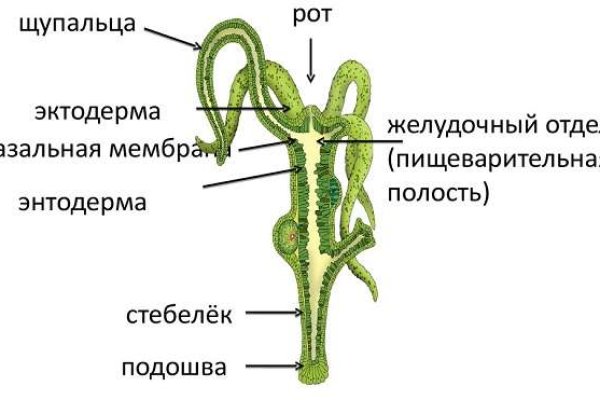 Кракен аватарка маркетплейс